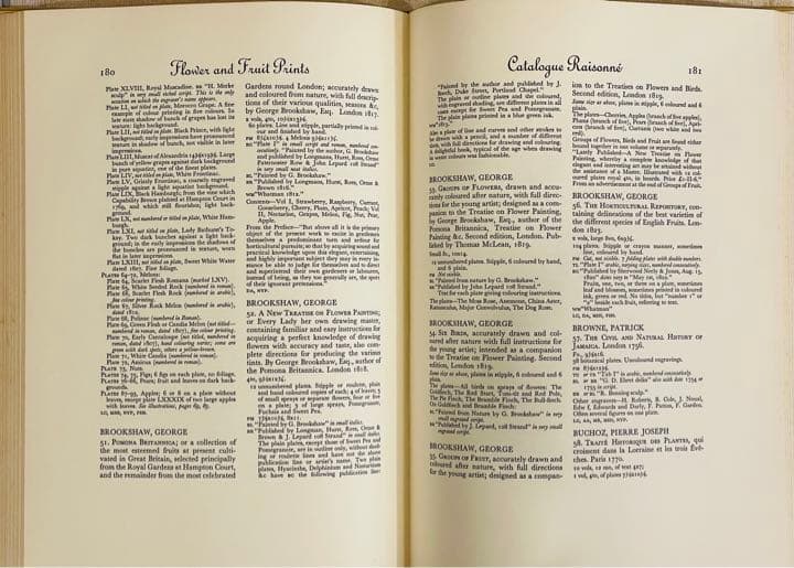 【大型本】FLOWER＆FRUIT PRINTS　ボタニカル