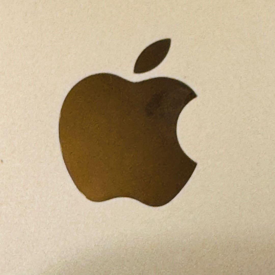 iPad mini 4 128GB セルラー SIMフリー【ホームボタン難あり】