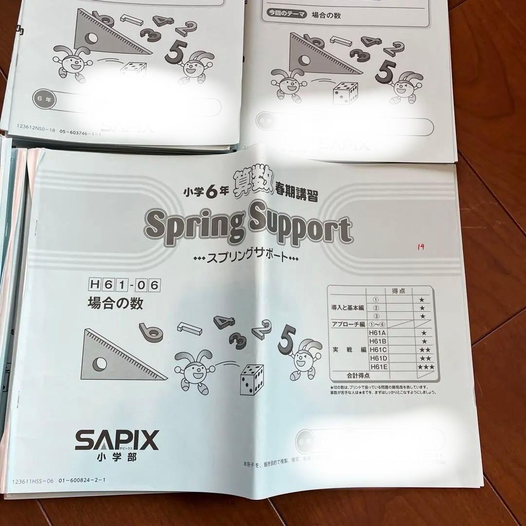 サピックス６年算数　2024年度入試用