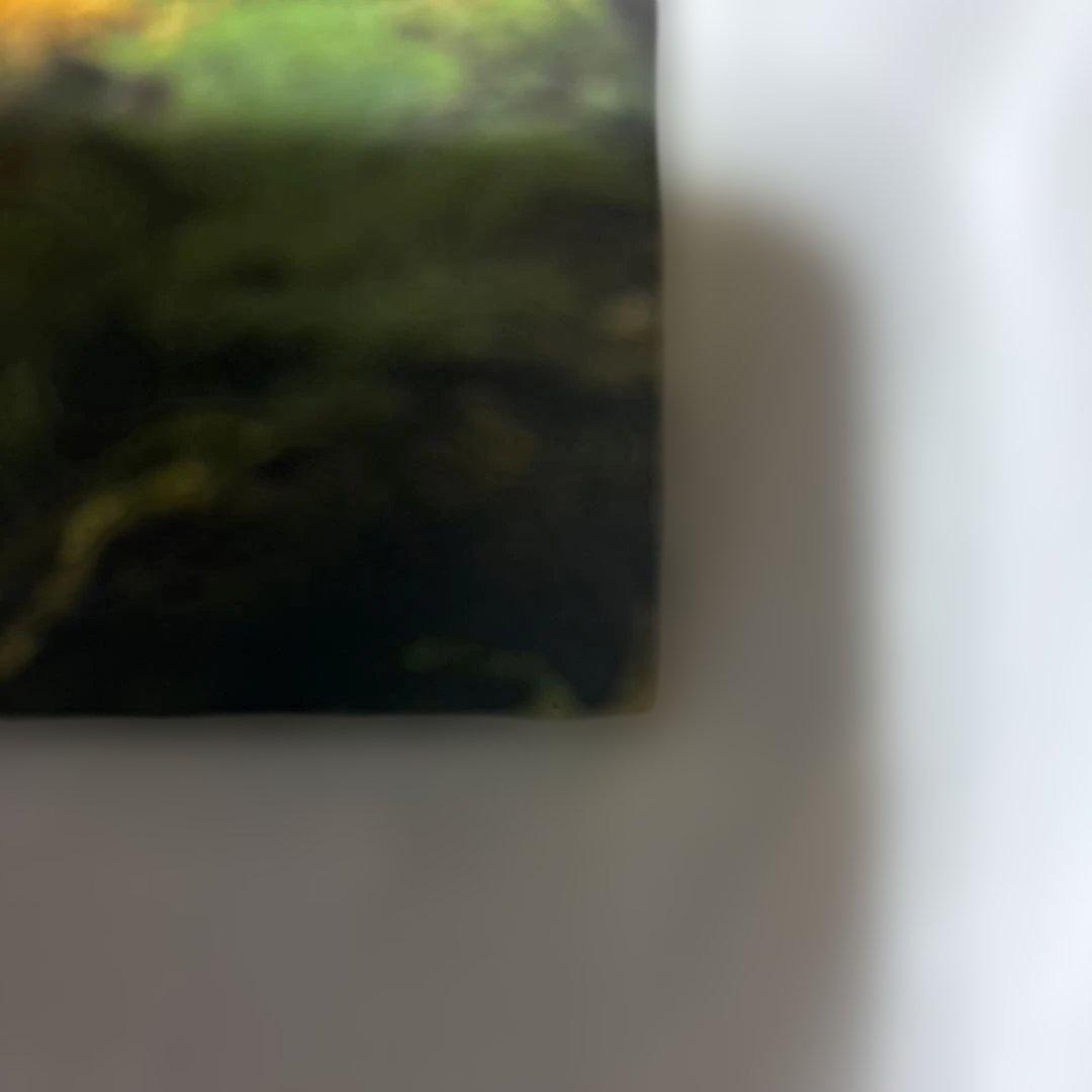 邦楽 Hiroshi Fujiwara NothingMuchBetterToDo