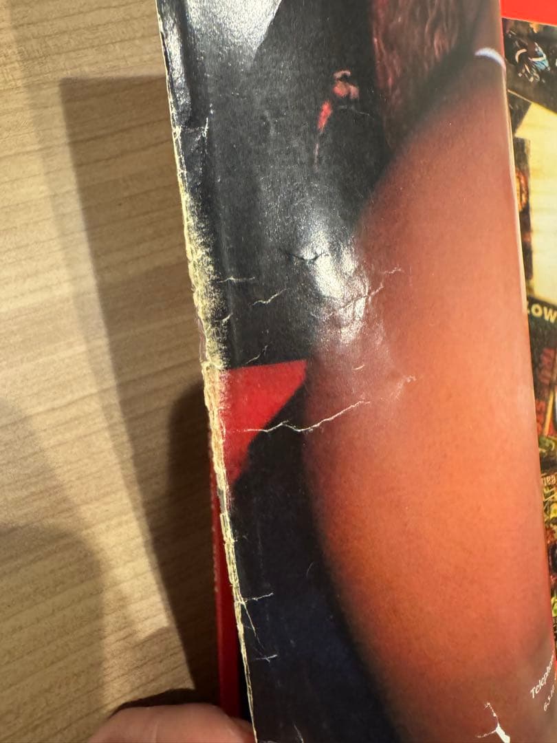 gangsta luv g-luv g-rap g-funk テリー　ジョンスン