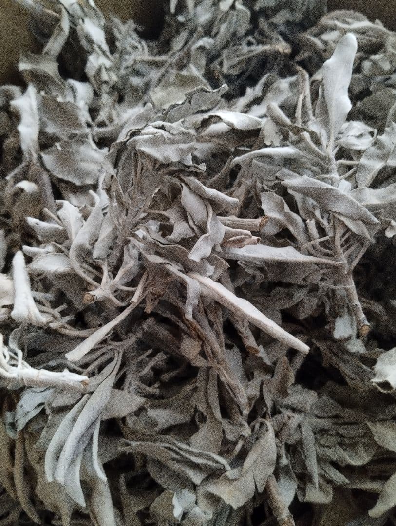 激安価格タイムセール☆無農薬ホワイトセージ枝付きクラスター1KG業務用価額