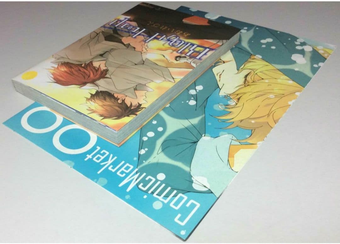 サイン本★あおいれびん★直筆イラスト 直筆サイン 肉筆 BL ボーイズラブ 万有