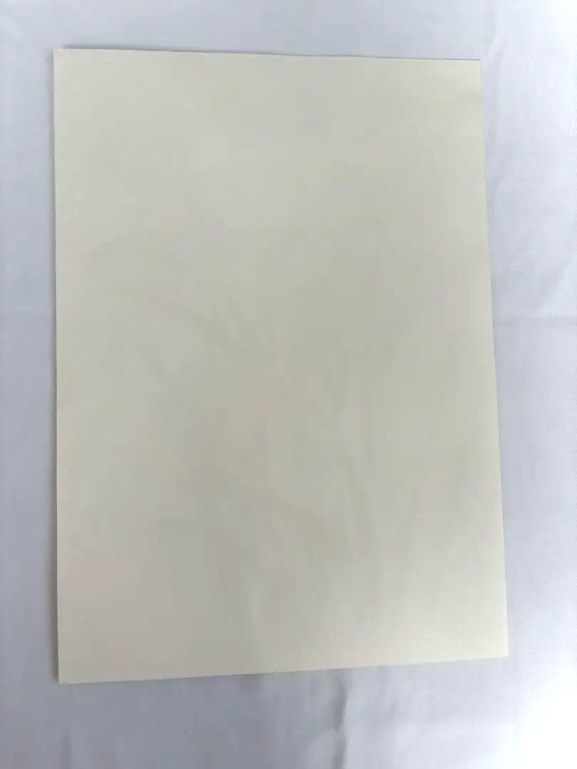 リトグラフ　坂本直行さん　あやめ