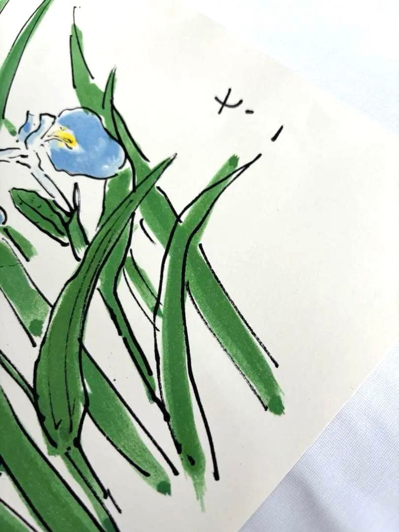 リトグラフ　坂本直行さん　あやめ