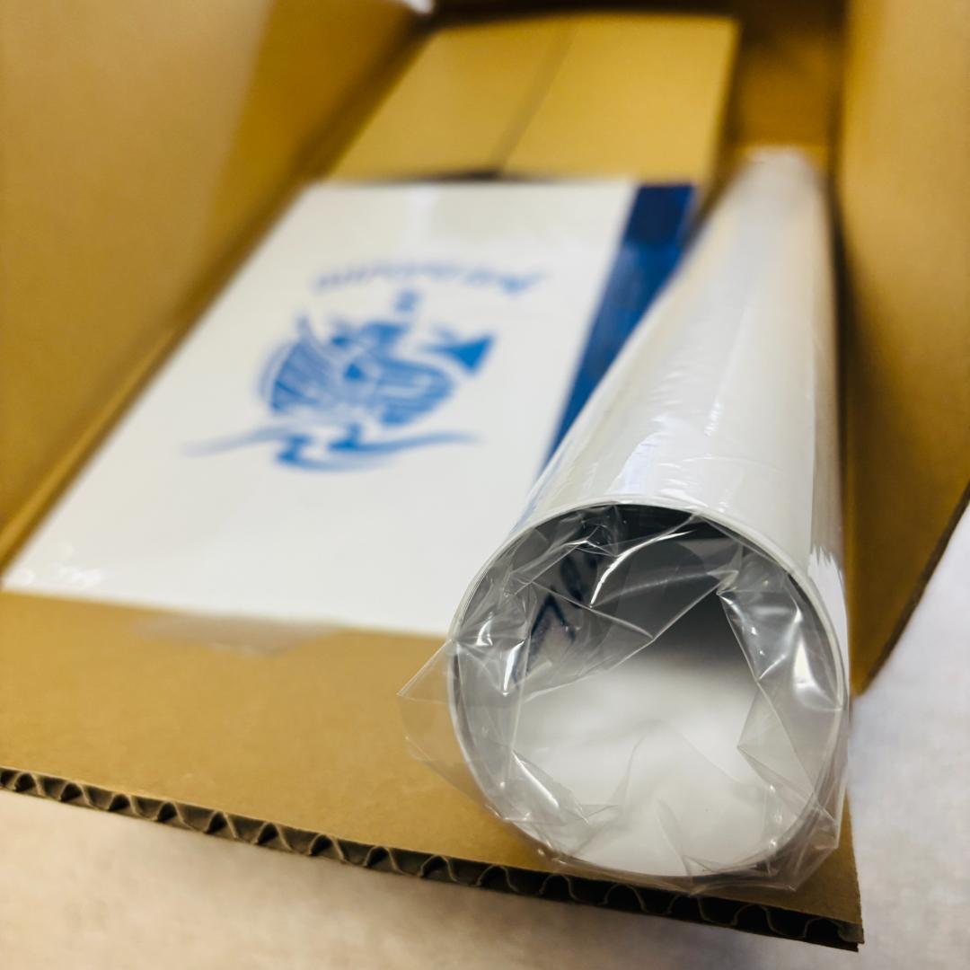 新品未開封★BUMPOFCHICKENauroraark Blu-ray初回限定