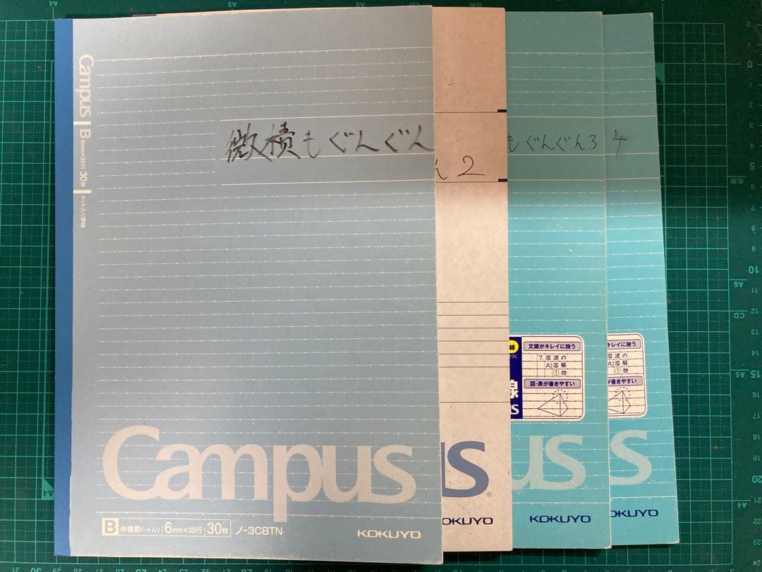 微積もぐんぐん 理系微積分+α 応用編