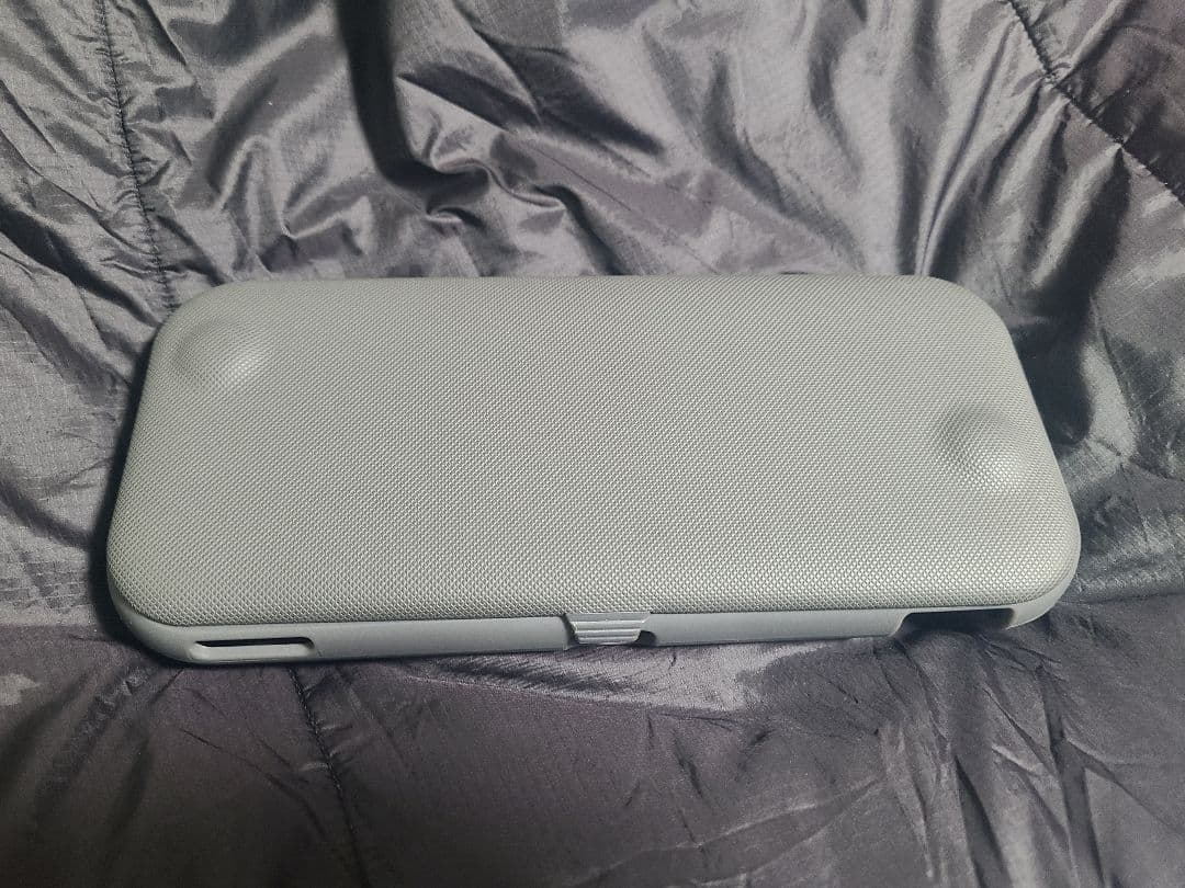 美品　Nintendo Switch Lite パープル