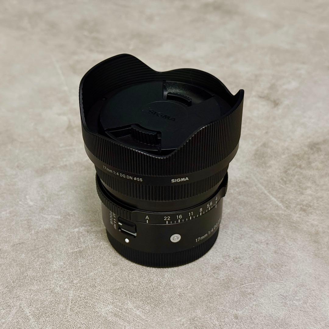 SIGMA シグマ 17mm F1.4 DC DN 単焦点 広角sony a7