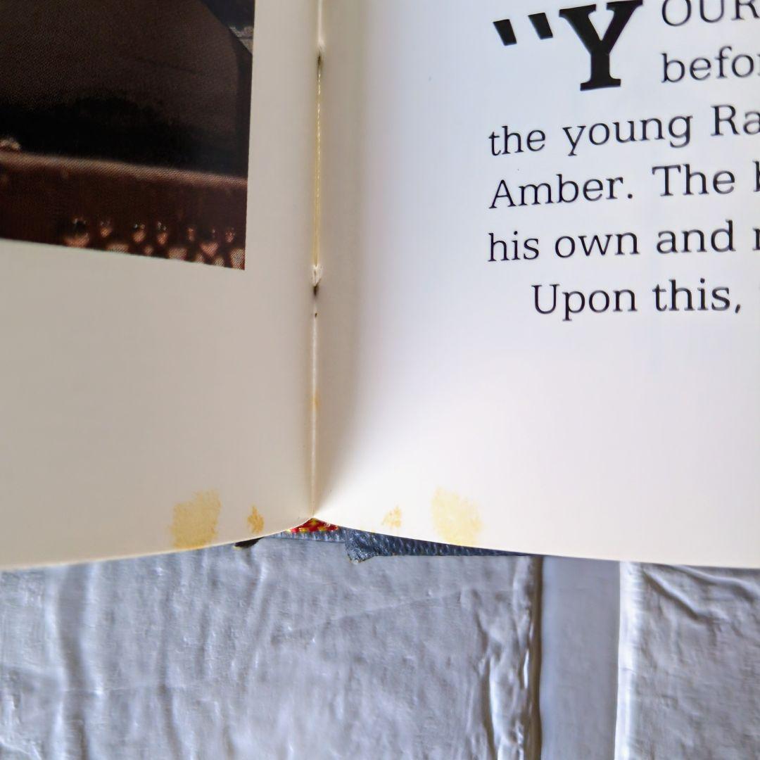 洋書 Delhi Agra and Jaipur