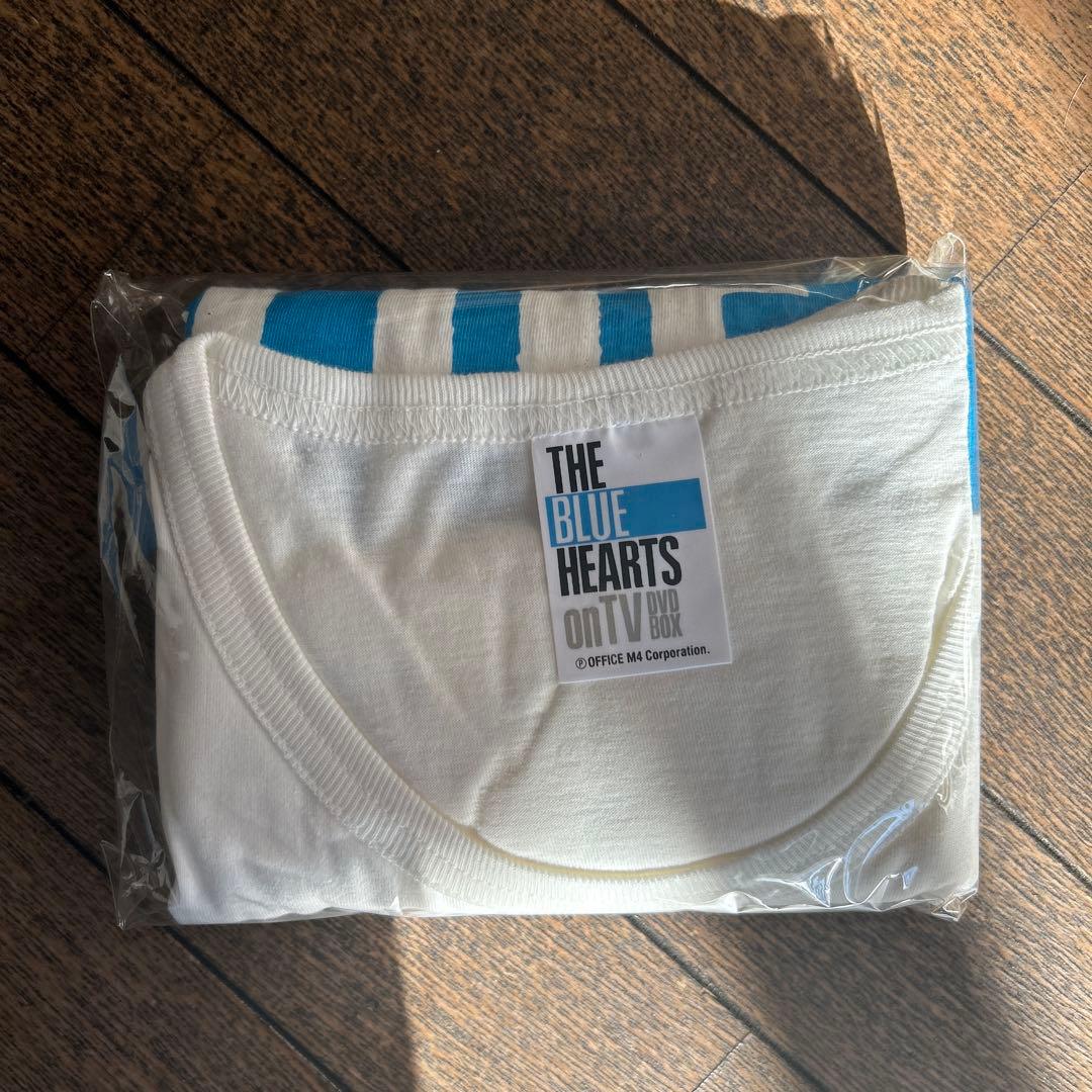 THE BLUE HEARTS on TV DVD BOX DV D2枚付