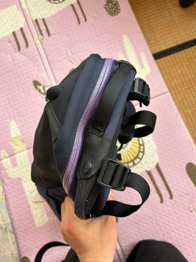 M*r様 廃品　超希少　ARC'TERYX Arro 22 BEAMS別注カラー