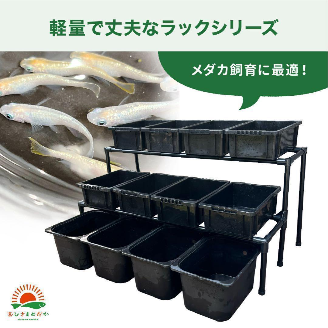 ★メダカ飼育ラック黒2段12個置き★ めだか飼育棚NVBOXビオトープ