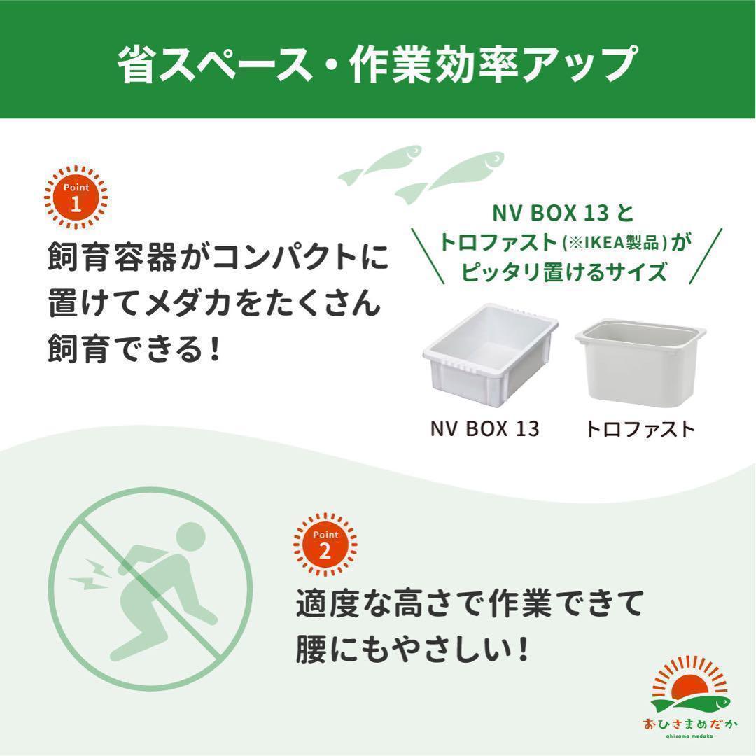 ★メダカ飼育ラック黒2段12個置き★ めだか飼育棚NVBOXビオトープ