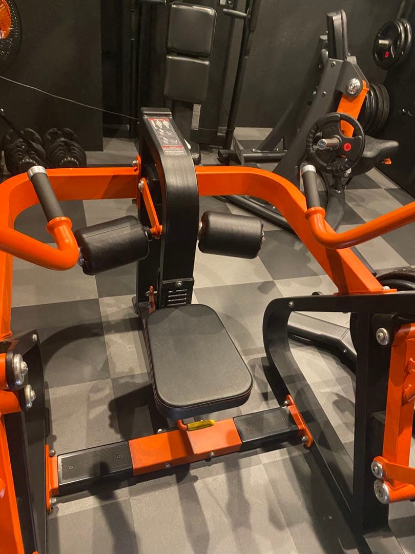 【トンデミーナ】トライセップディップマシン