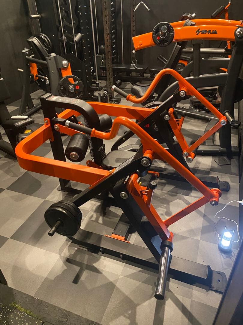 【トンデミーナ】トライセップディップマシン