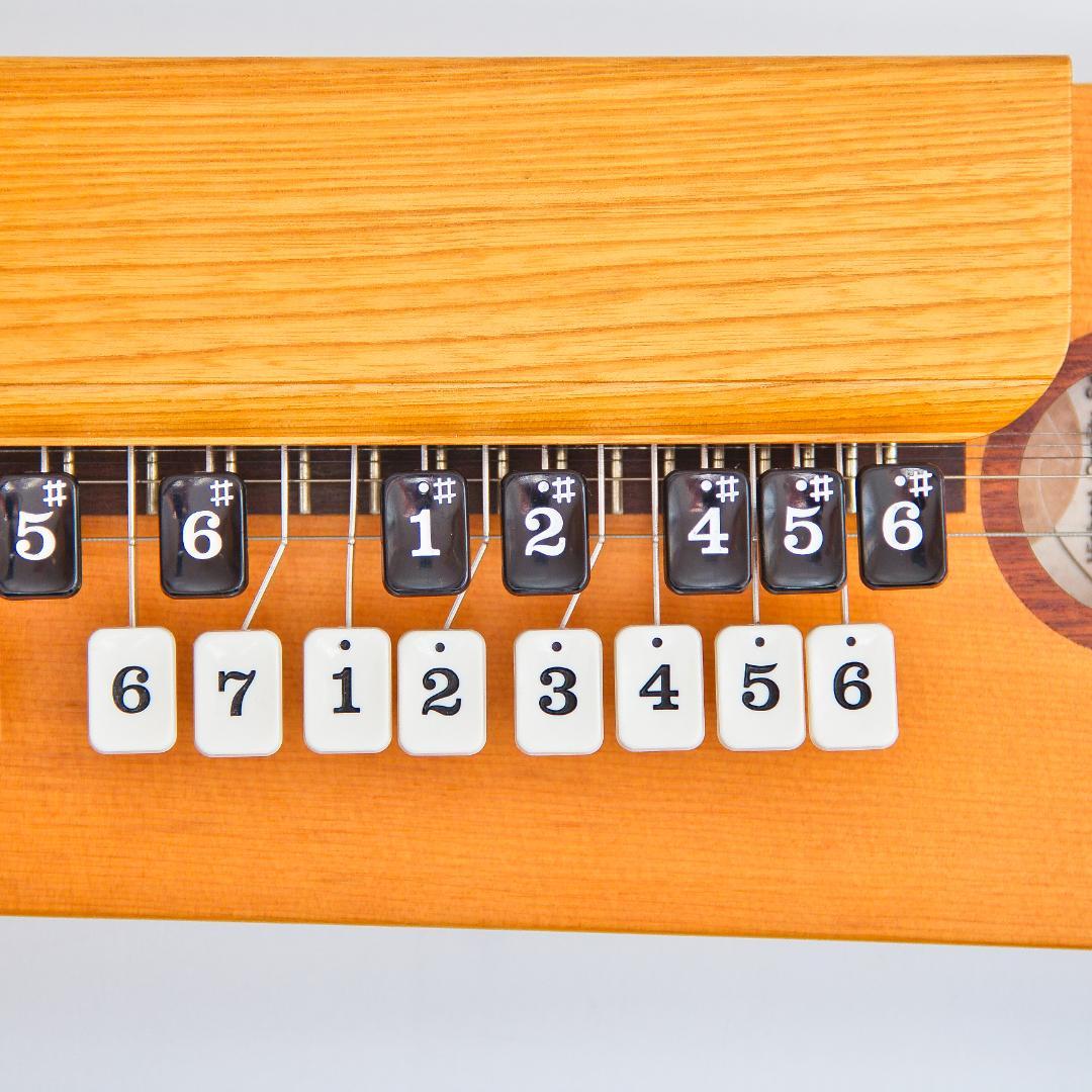 SUZUKI スズキ 高級電気大正琴 弁慶