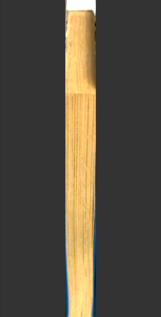 カラダの本 : 誰にも聞けない性の疑問に答えます　②