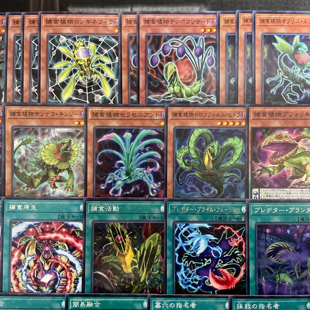 本格構築 捕食植物デッキ プレデタープランツデッキ 血樹竜姫ドラセリア