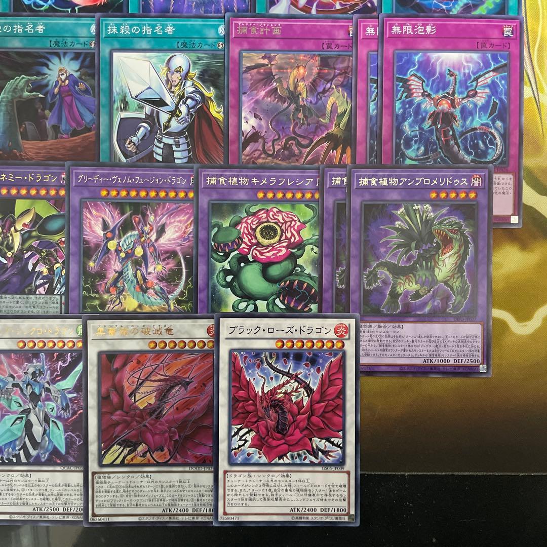 本格構築 捕食植物デッキ プレデタープランツデッキ 血樹竜姫ドラセリア