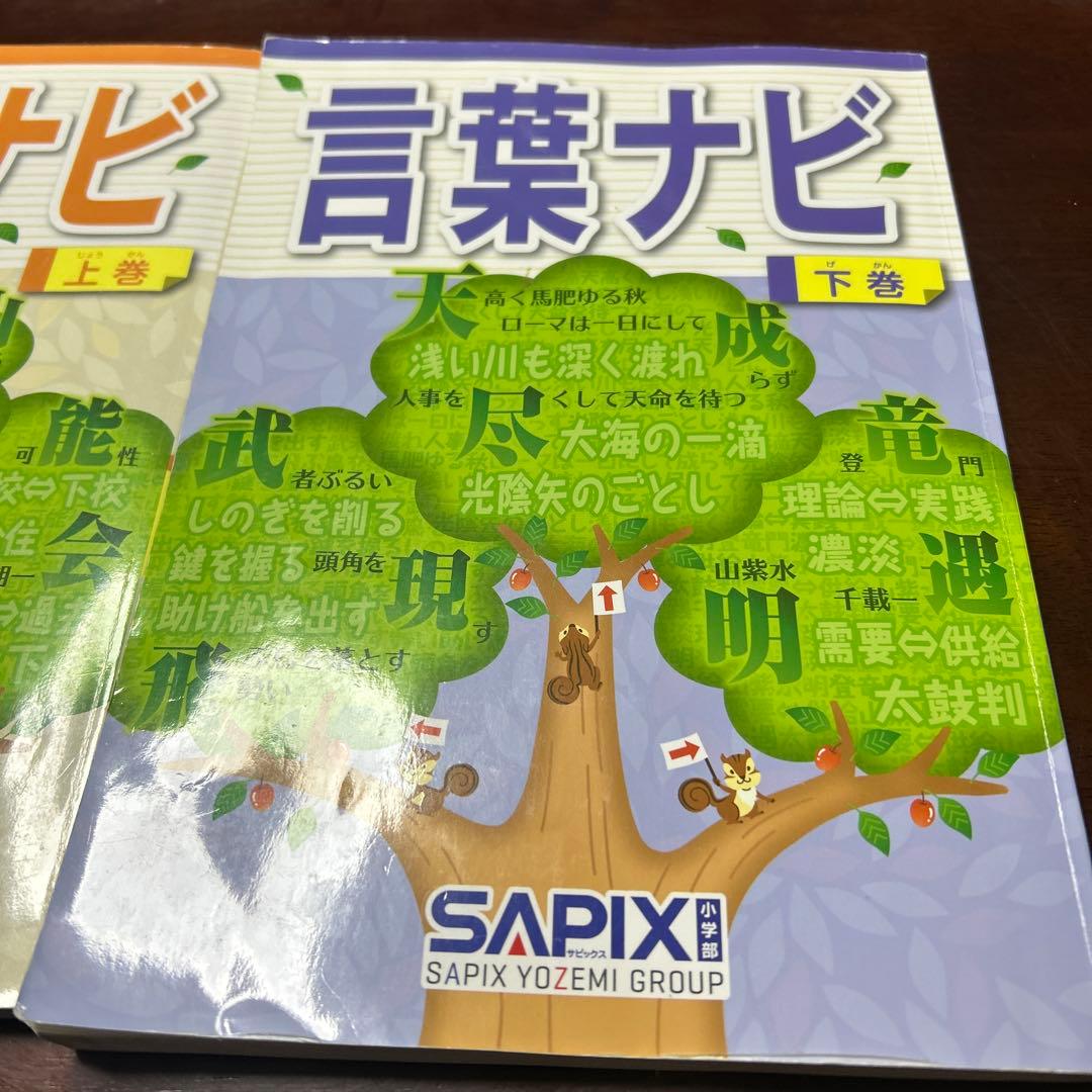 23-20か　重要教材　サピックス　SAPIX 言葉ナビ 上巻・下巻　未記入❣️