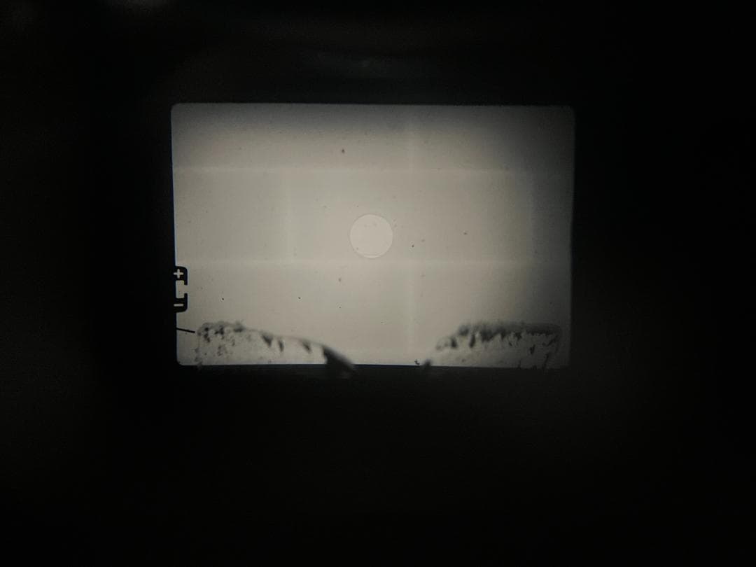 【ケース付き・完動品】オリンパス OLYMPUS OM-1 50mm F1.8