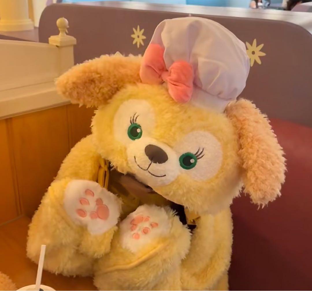 上海ディズニー限定 クッキーアン 耳が動く毛布 マント風 公示品