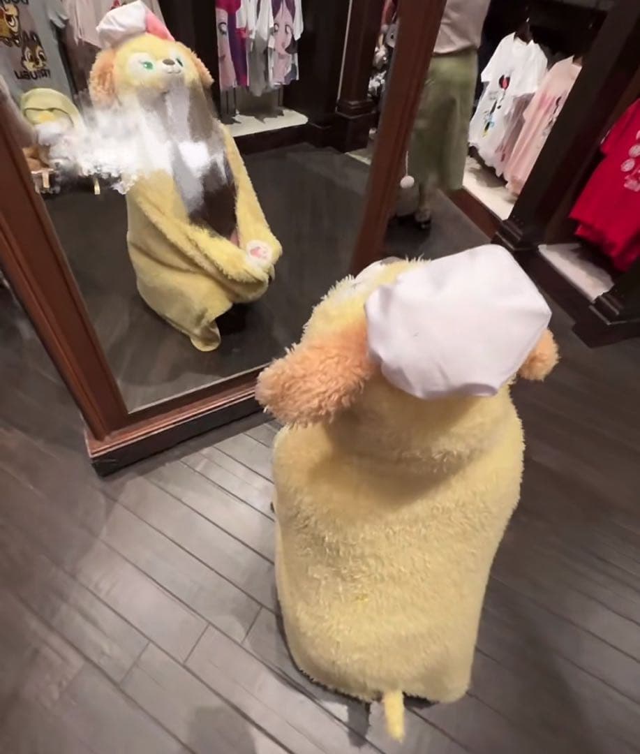 上海ディズニー限定 クッキーアン 耳が動く毛布 マント風 公示品