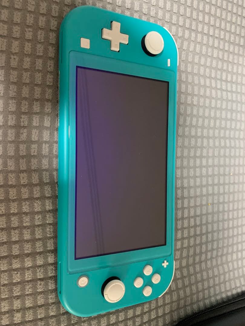 【値下げ】Nintendo Switch Lite本体＋ハードケース等