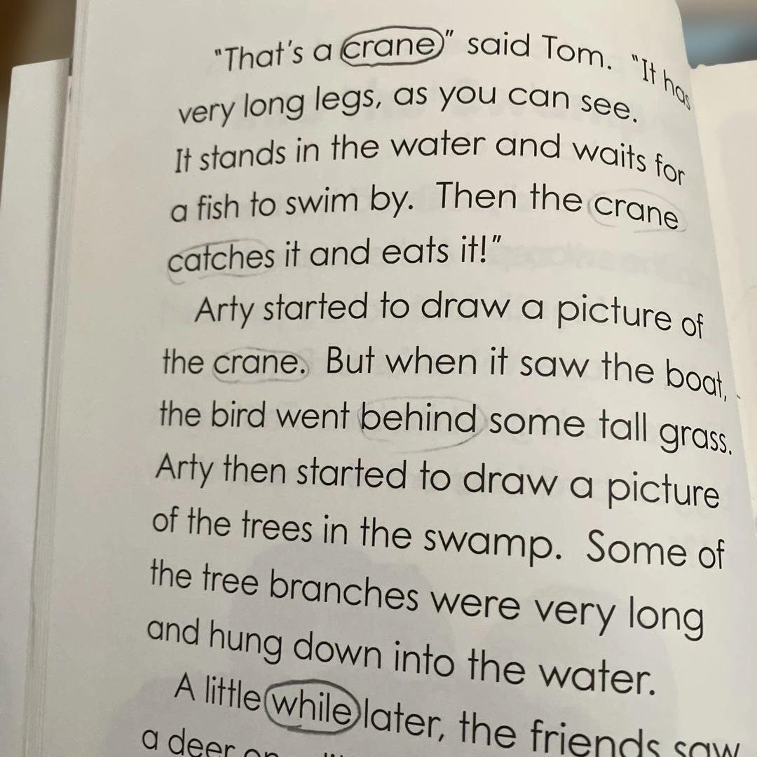 GRAPESEED unit 21〜32 まとめ売り 英語