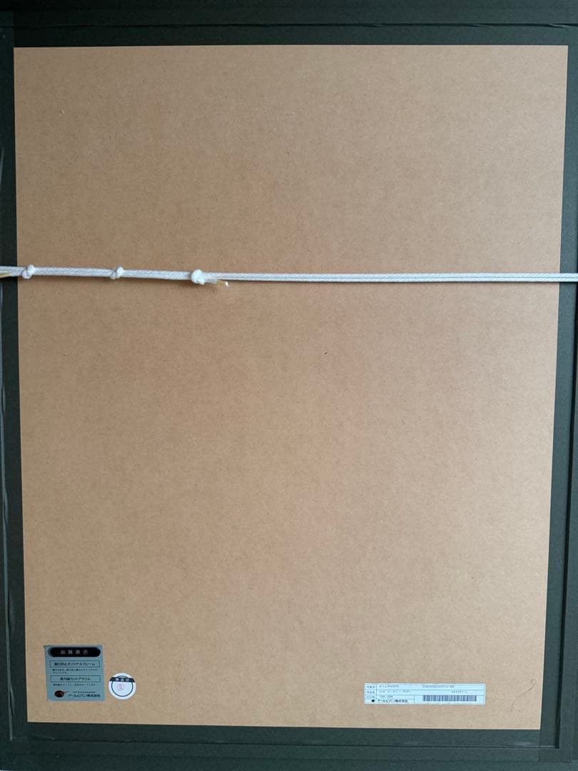 WILL ARDSON ミッキーマウス