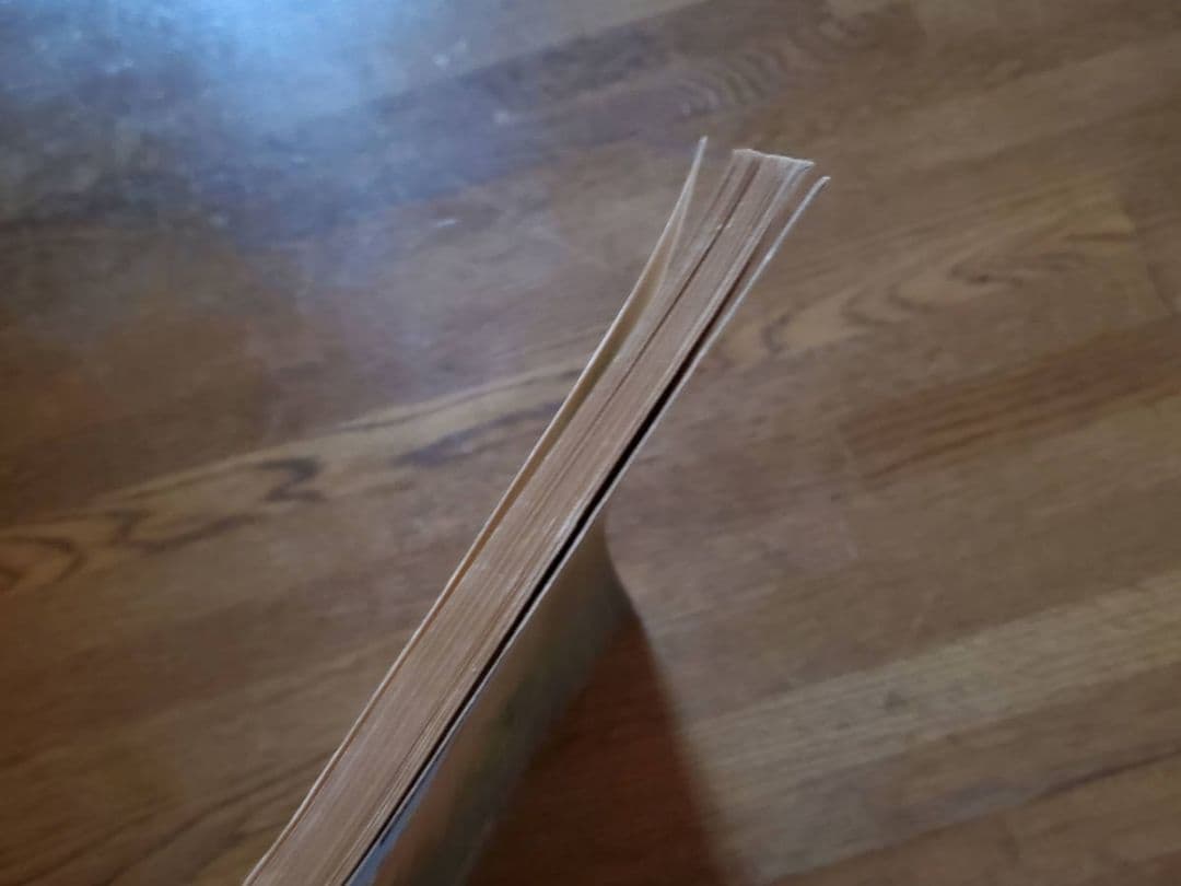 WHITELION　Big Game ホワイト・ライオンビッグ・ゲーム　バンスコ