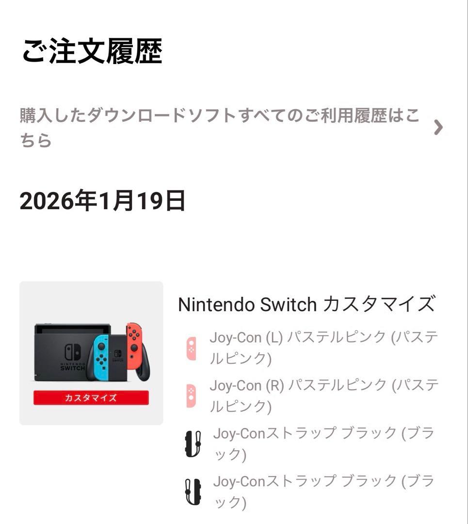 Nintendo Switch 通常モデル カスタマイズ