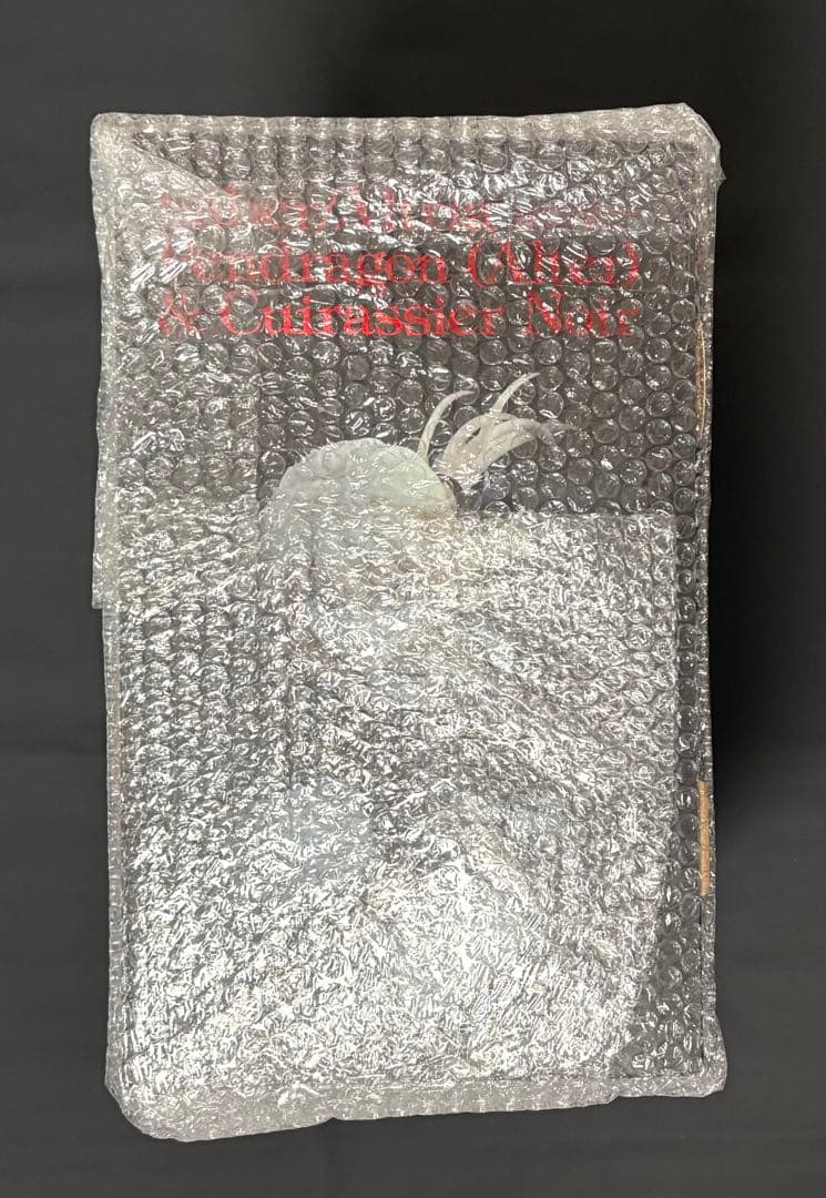 アルトリア・ペンドラゴン〔オルタ〕＆キュイラッシェ・ノワール 1/8 フィギュア