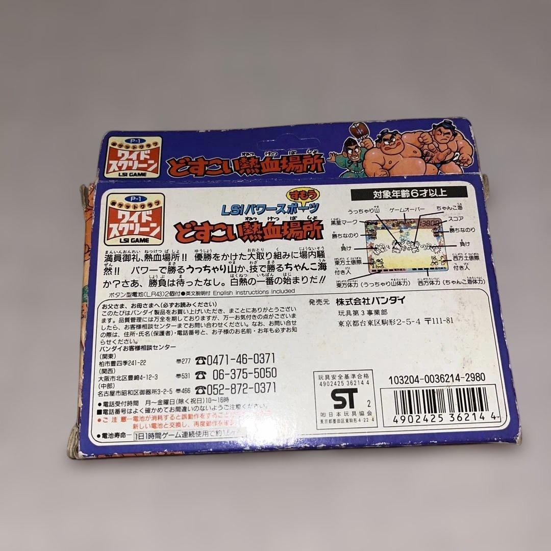 【希少】どすこい熱血場所　★LSI ゲーム★