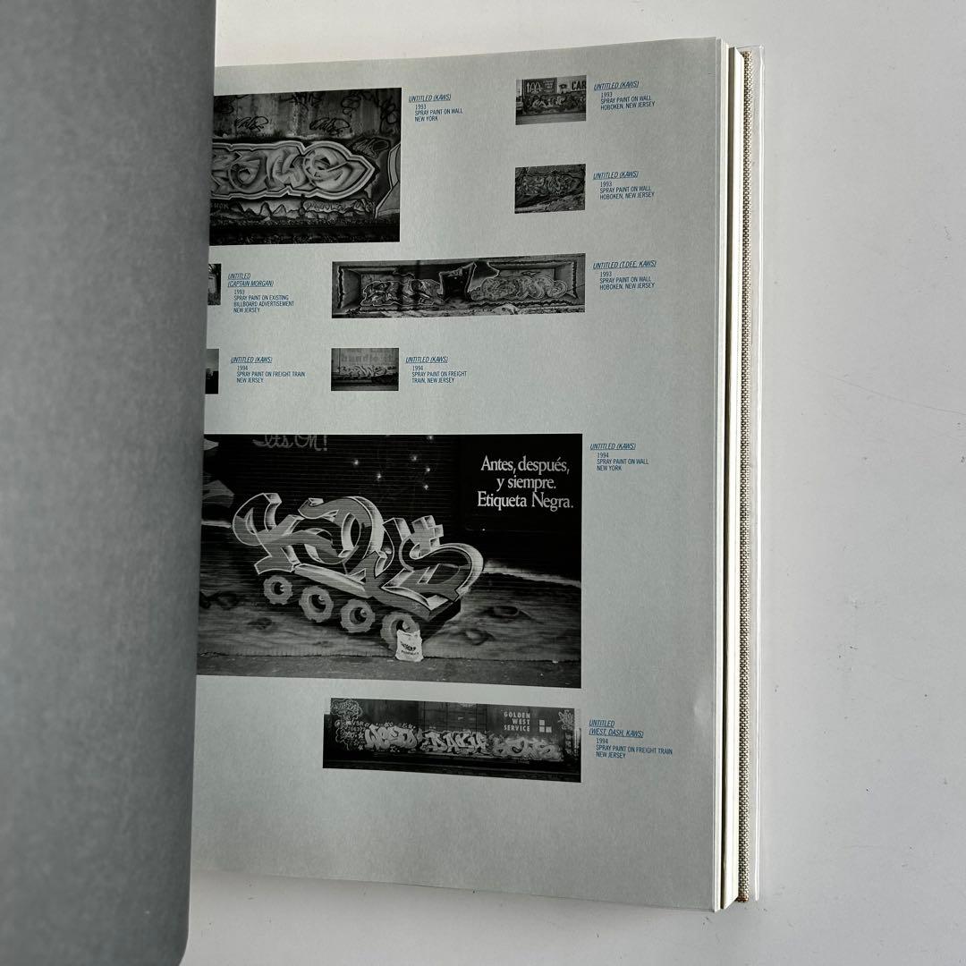 美品 KAWS アートブック Skira Rizzoli Book カウズ