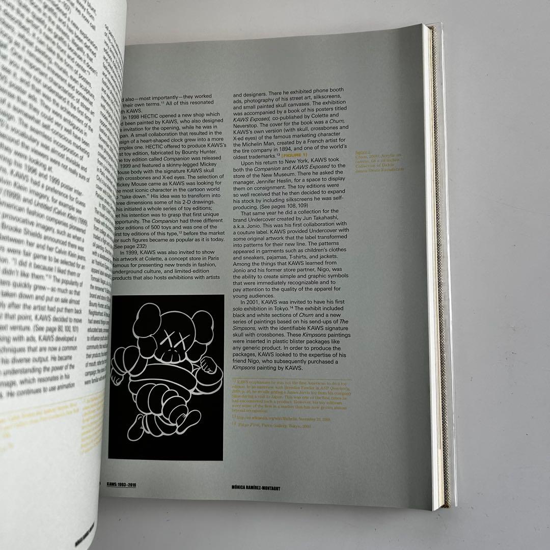 美品 KAWS アートブック Skira Rizzoli Book カウズ