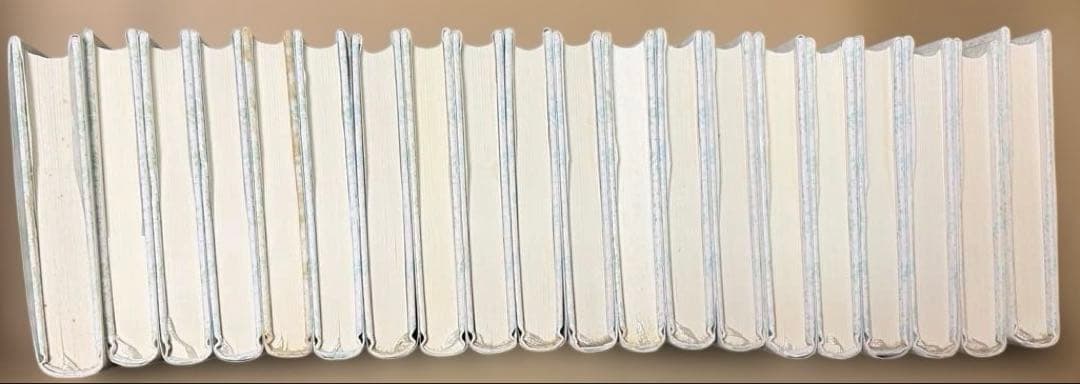 稀少‼️ 絶版❗️アボンリーへの道　全20巻セット