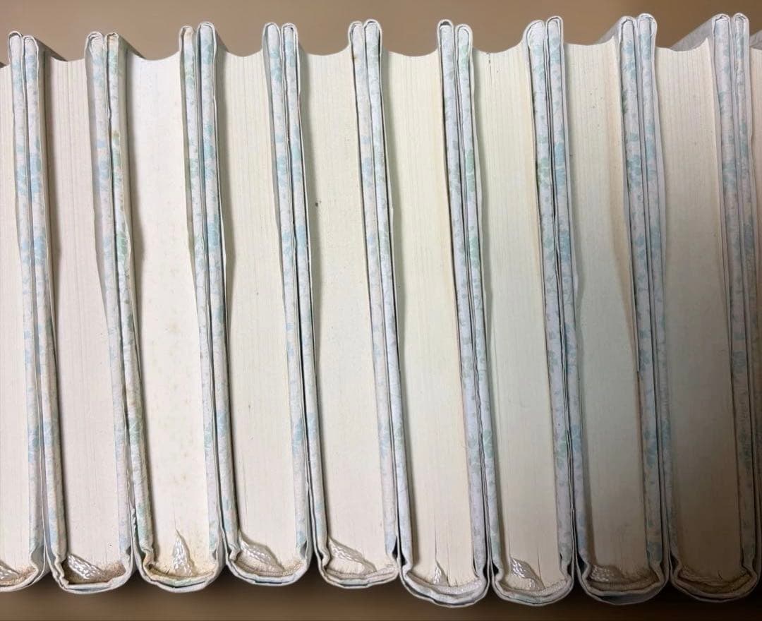 稀少‼️ 絶版❗️アボンリーへの道　全20巻セット