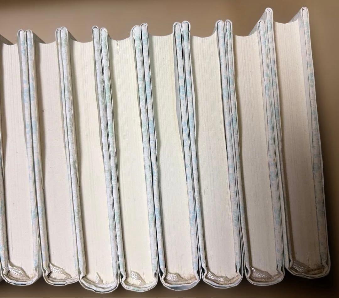 稀少‼️ 絶版❗️アボンリーへの道　全20巻セット