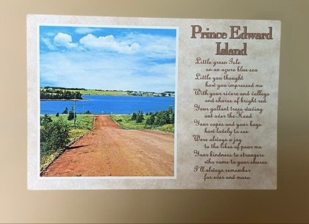 稀少‼️ 絶版❗️アボンリーへの道　全20巻セット