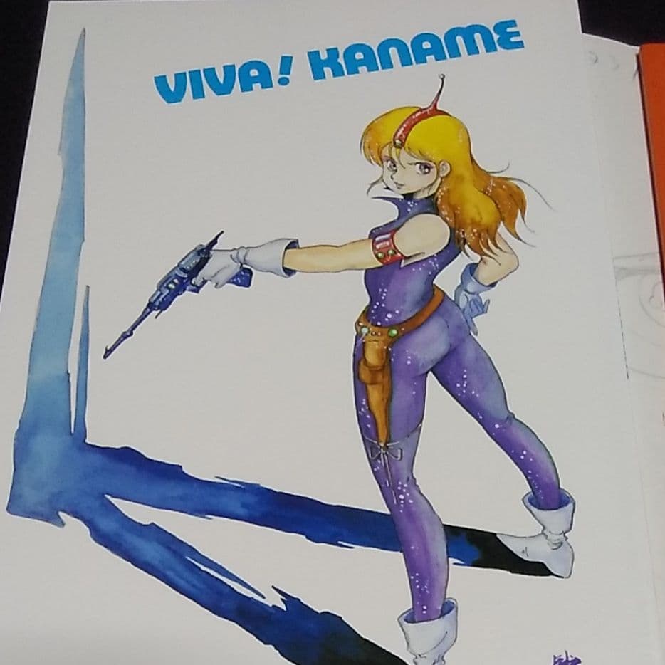 VIVA KANAMEカナメプロ3冊セット