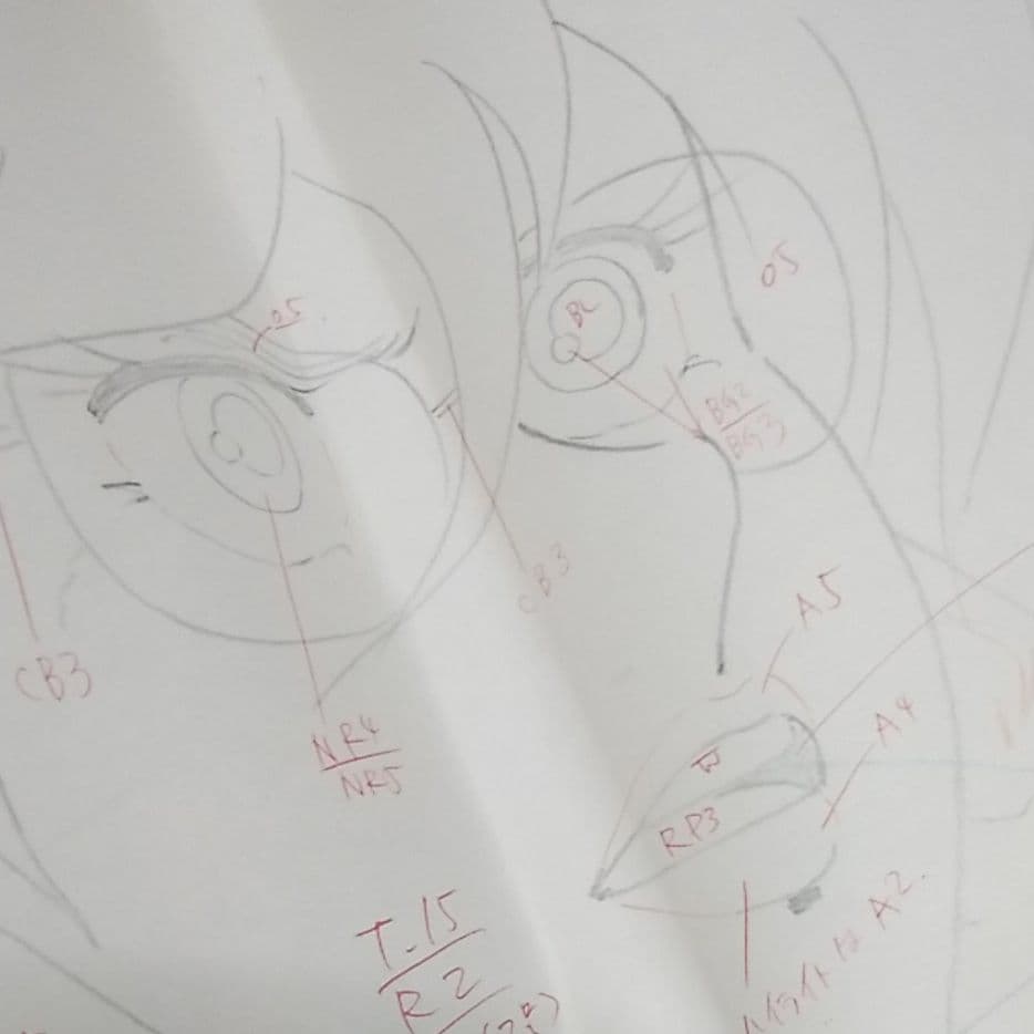 VIVA KANAMEカナメプロ3冊セット