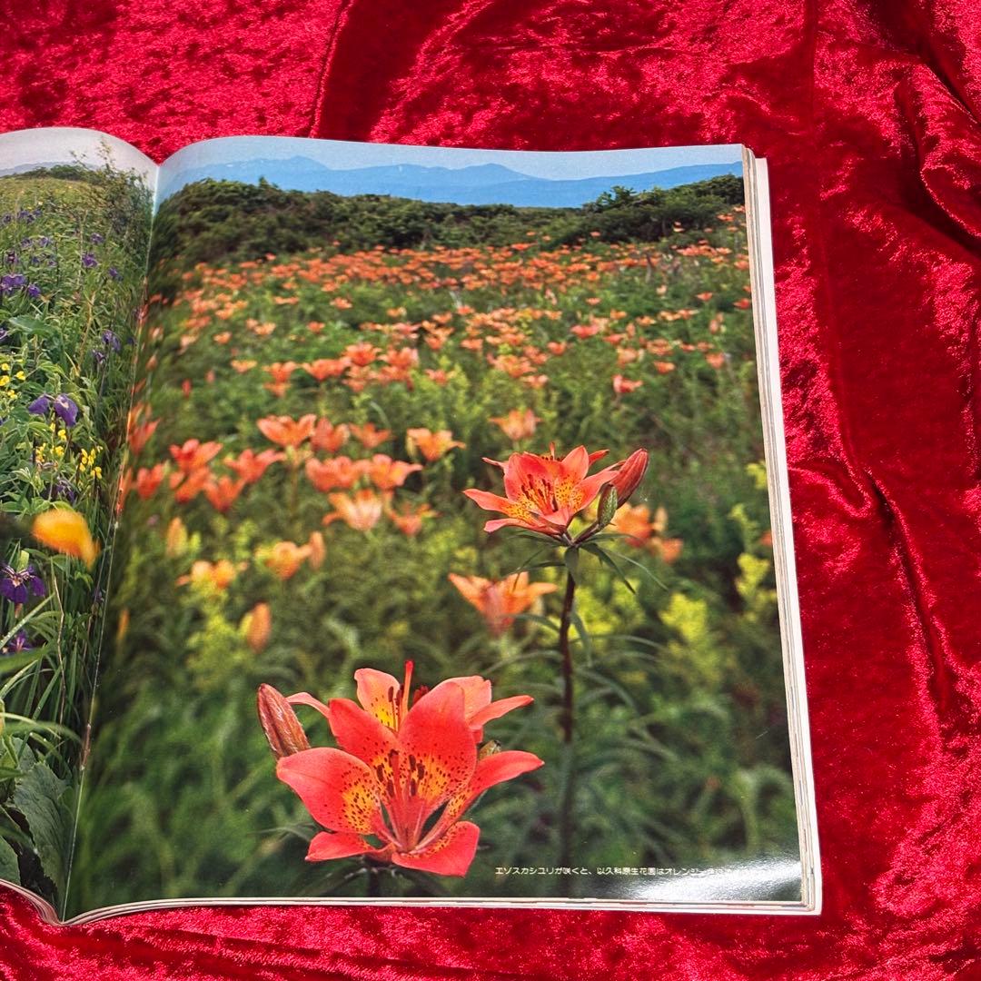 るるぶ 1976年7月号 北海道特集