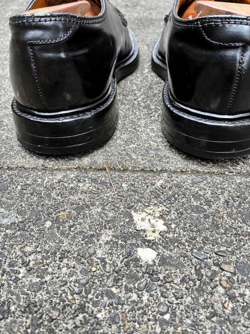 フローシャイム　ブラックコードバン 92621