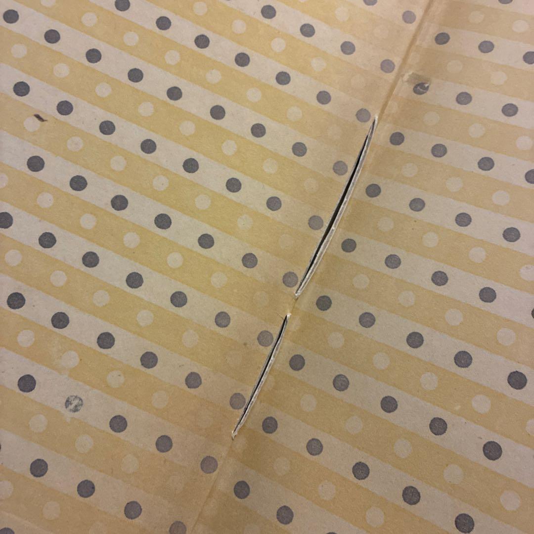 洋書 TIM WALKER PICTURES teNeues