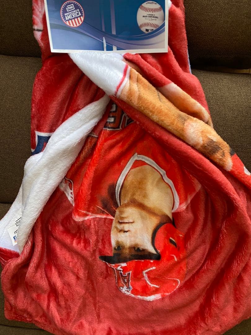 【MVP受賞】 大谷翔平 シルクタッチブランケット
