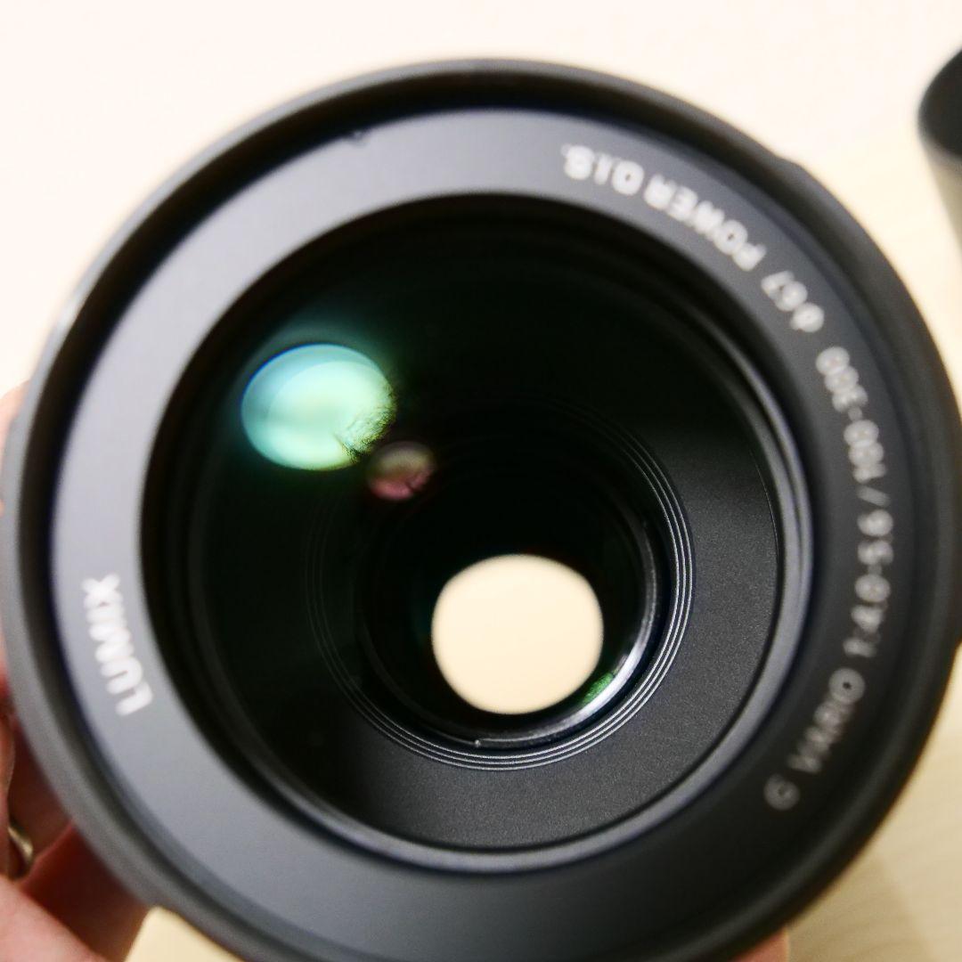 レンズ(ズーム) Panasonic LUMIX 100-300mm F4.0-5.6 II