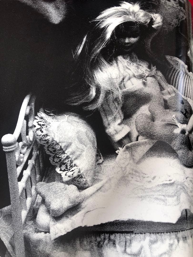 hysteric glamour vol.7  bed 写真集