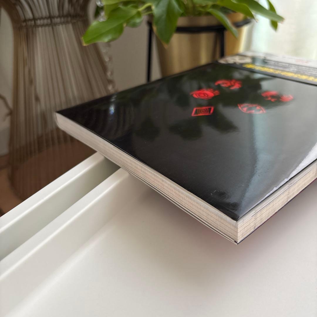 レイジングループ完全読本　帯付き　初版